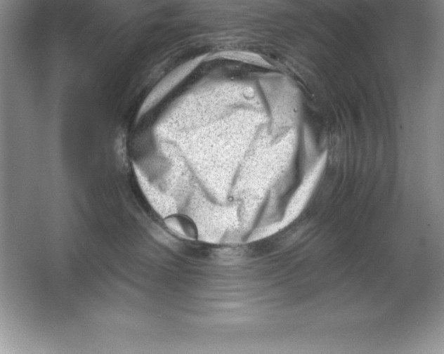 X0000064750238200603031741