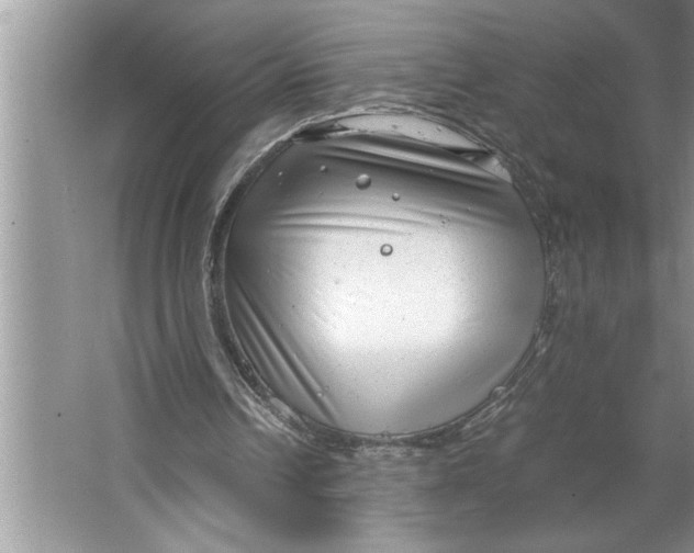 X0000064750242200603031741