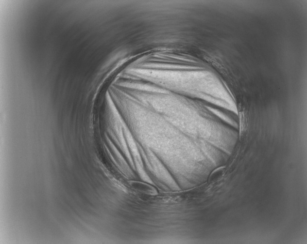 X0000064750243200603031741