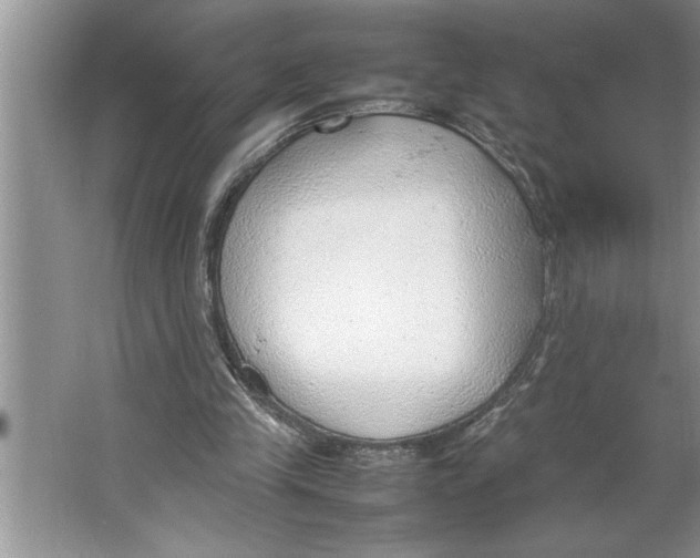 X0000064750245200603031741