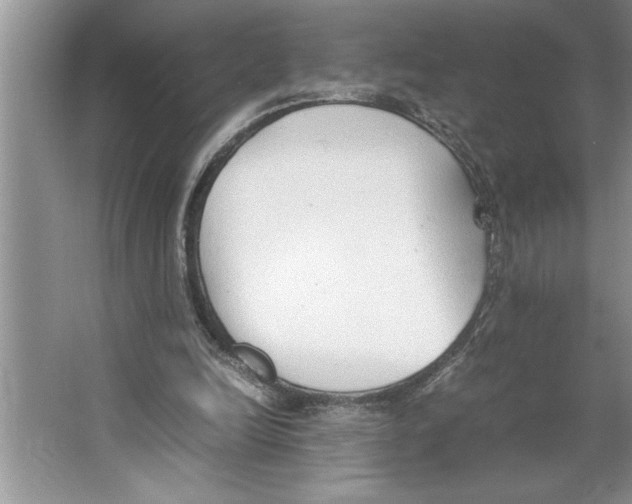 X0000064750246200603031741