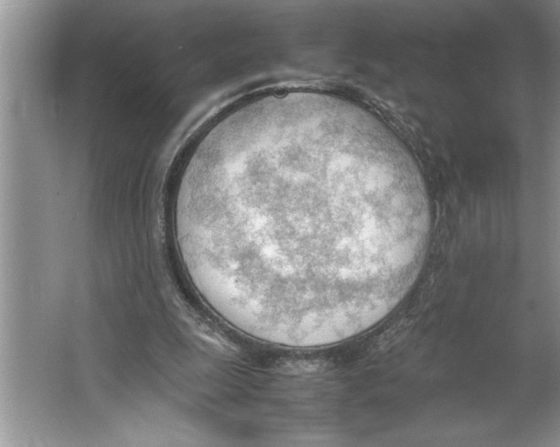 X0000064750247200603031741