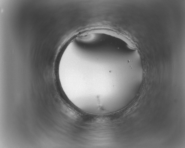 X0000064750248200603031741