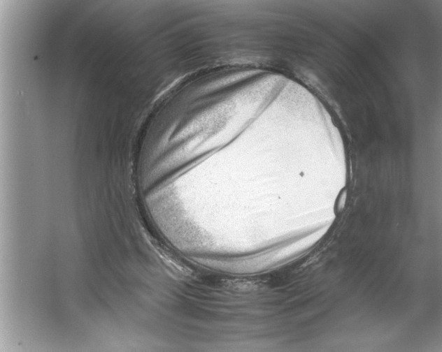 X0000064750249200603031741