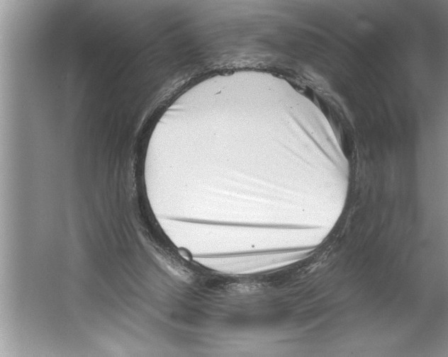 X0000064750250200603031741