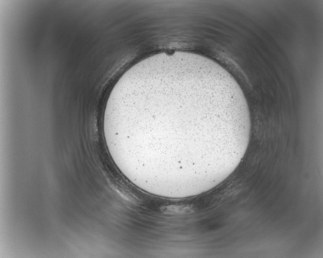 X0000064750251200603031741