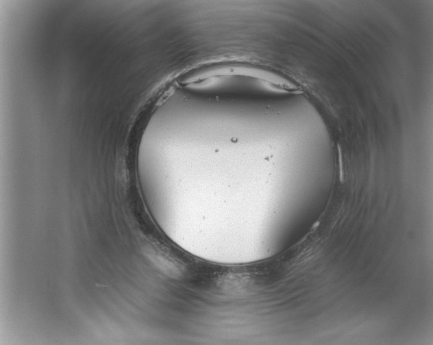 X0000064750252200603031741