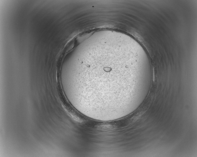 X0000064750253200603031741