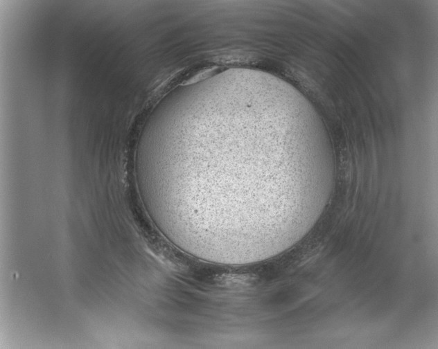 X0000064750255200603031741