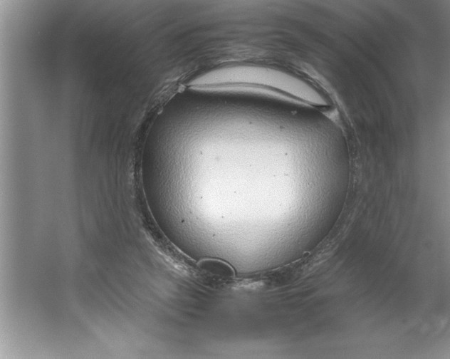 X0000064750257200603031741