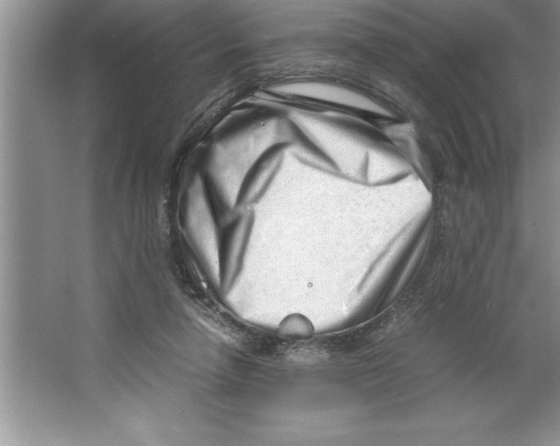 X0000064750258200603031741