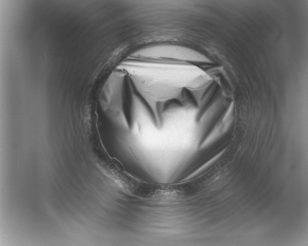 X0000064750260200603031741