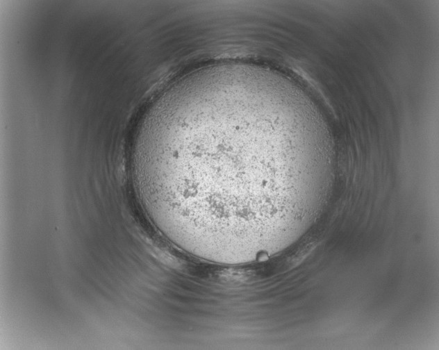 X0000064750261200603031741