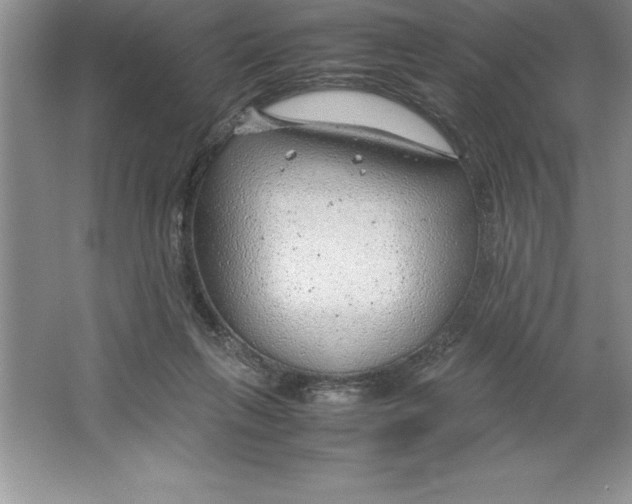 X0000064750263200603031741