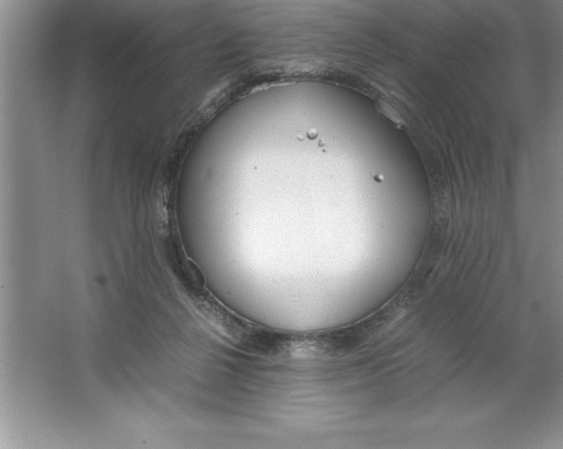 X0000064750264200603031741