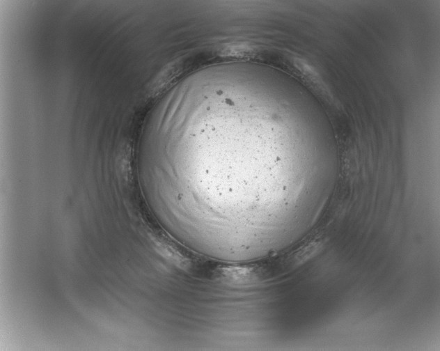 X0000064750265200603031741