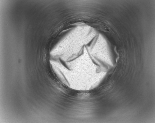 X0000064750266200603031741