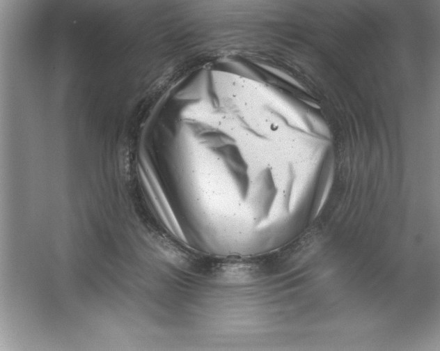 X0000064750268200603031741