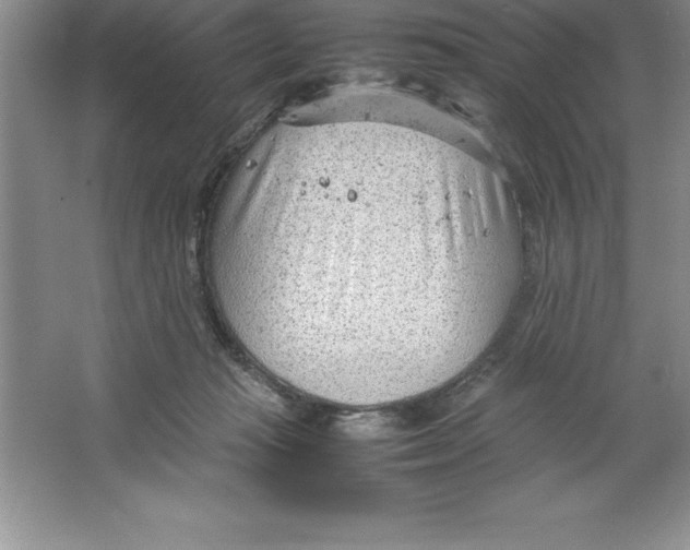 X0000064750269200603031741