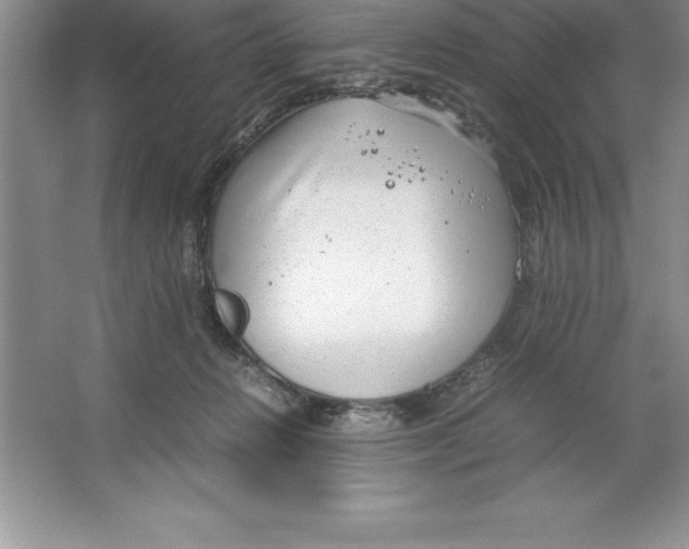 X0000064750270200603031741