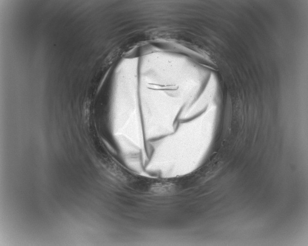 X0000064750271200603031741