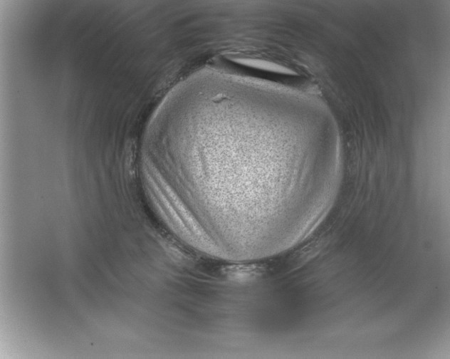 X0000064750273200603031741