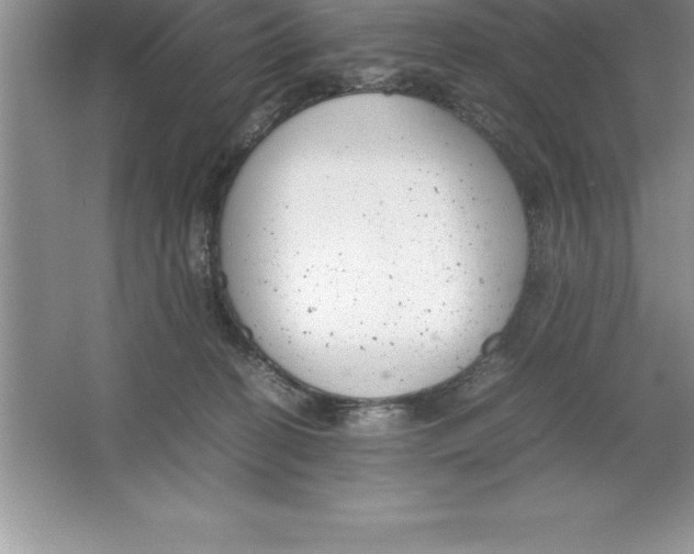 X0000064750274200603031741