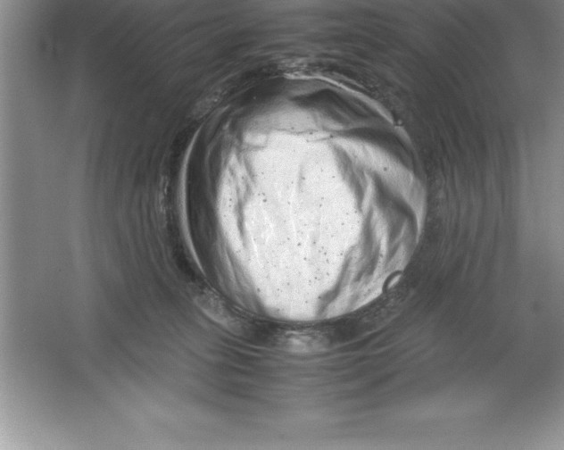 X0000064750275200603031741