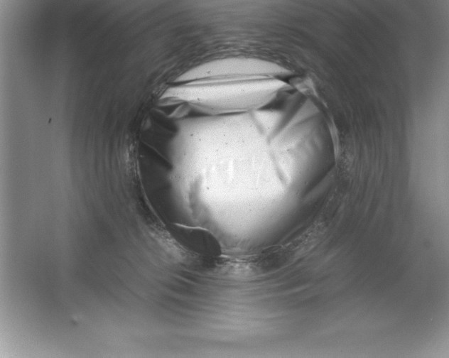 X0000064750276200603031741