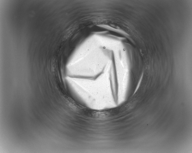 X0000064750277200603031741