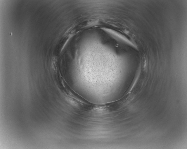 X0000064750280200603031741