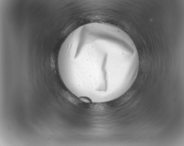 X0000064750282200603031741