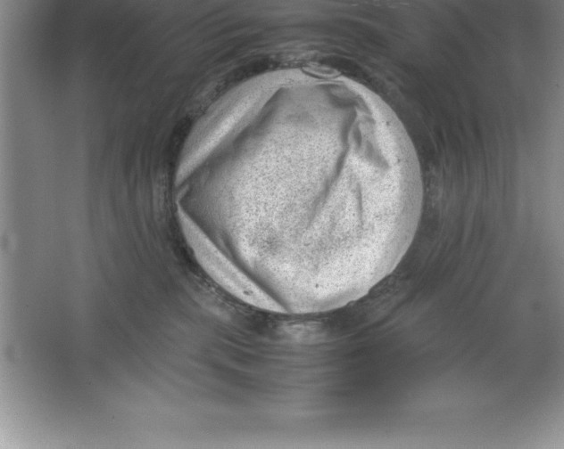 X0000064750283200603031741