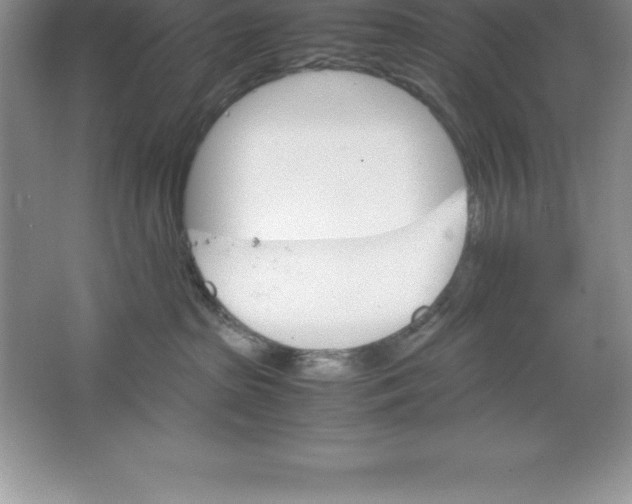 X0000064750285200603031741