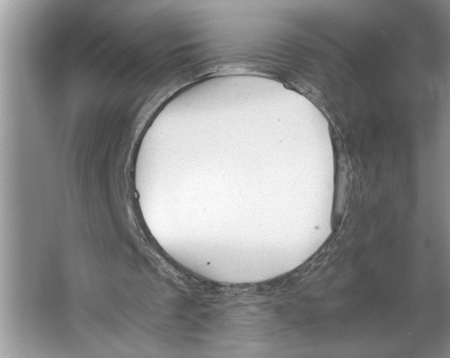 X0000064750289200603031741