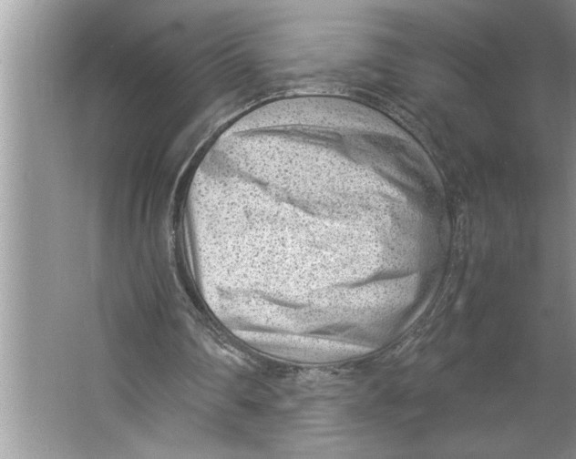 X0000064750290200603031741