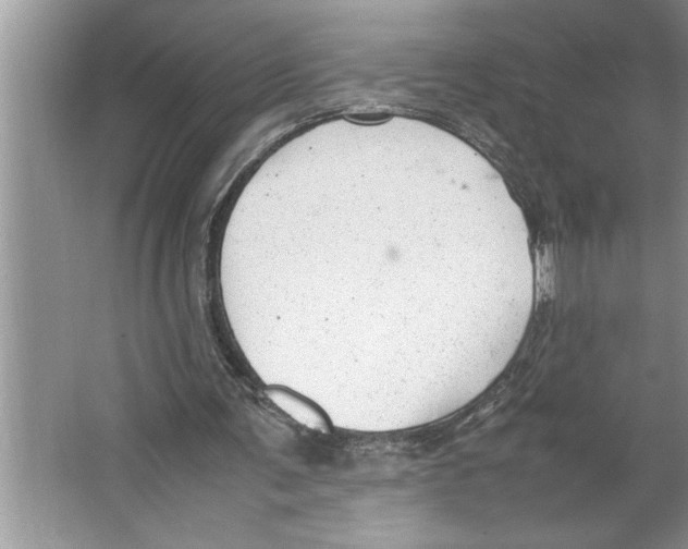 X0000064750291200603031740