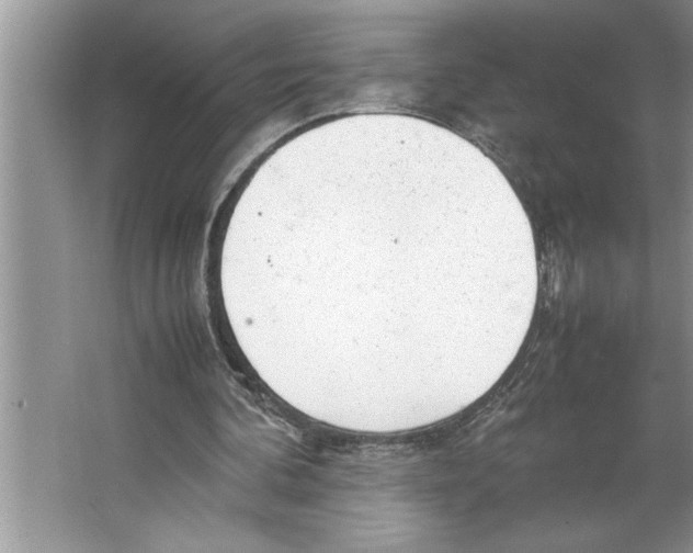 X0000064750292200603031740