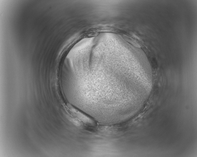 X0000064750293200603031740