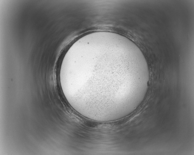 X0000064750294200603031740