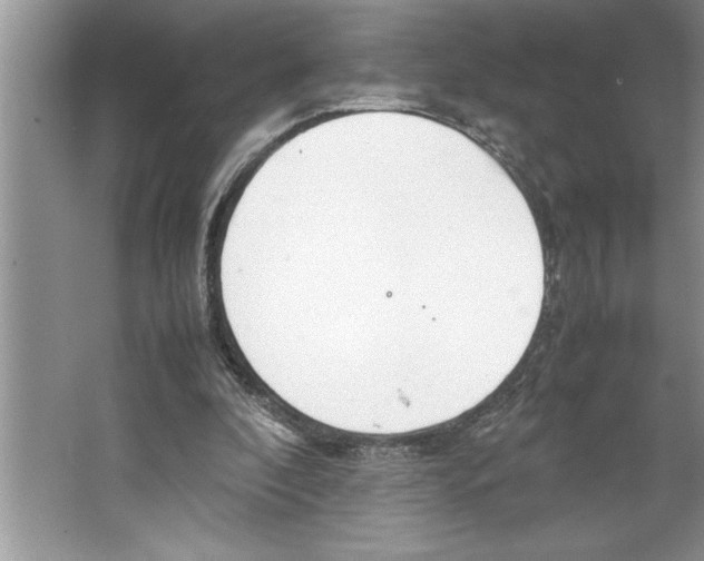 X0000064750296200603031740