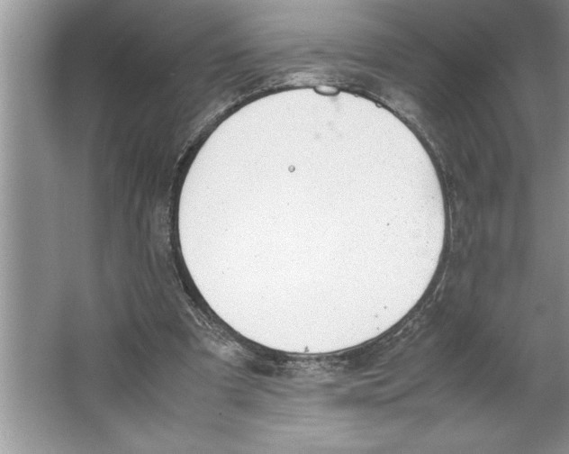 X0000064750297200603031740