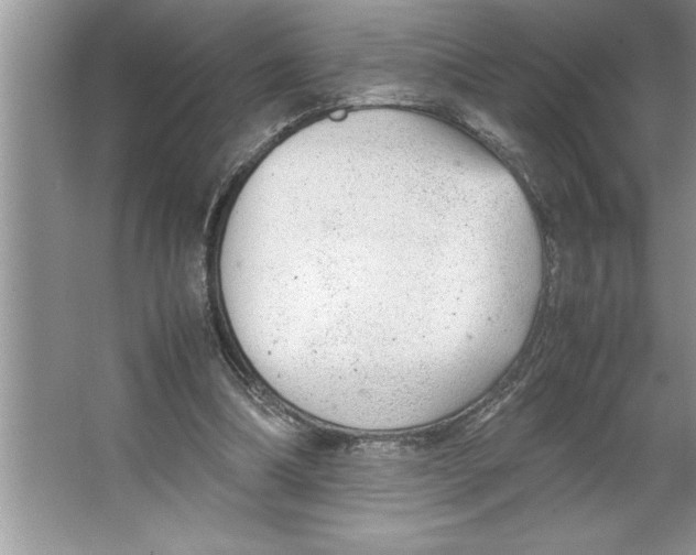 X0000064750298200603031740