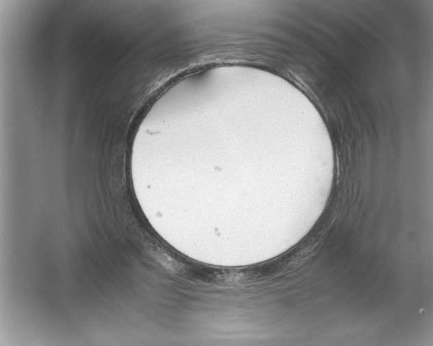 X0000064750301200603031740