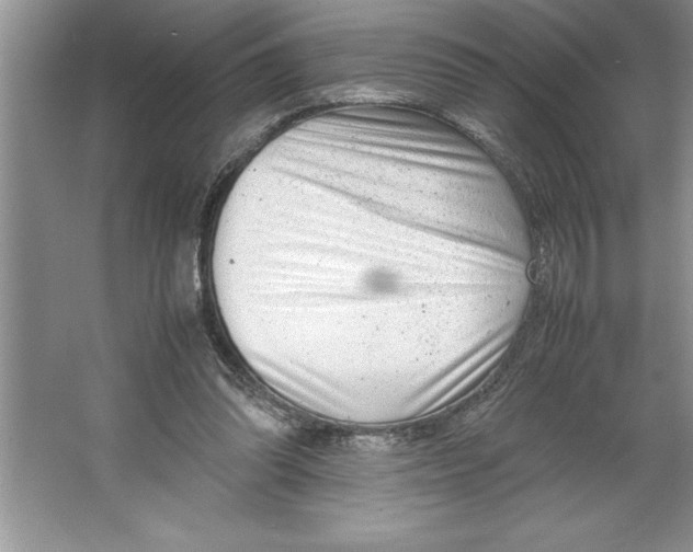 X0000064750302200603031740