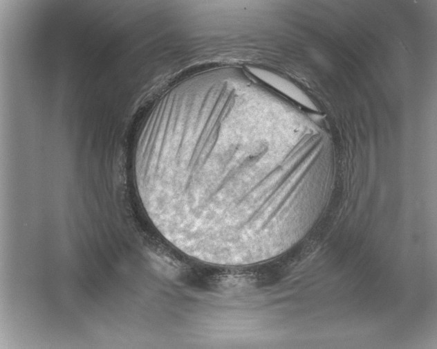 X0000064750303200603031740