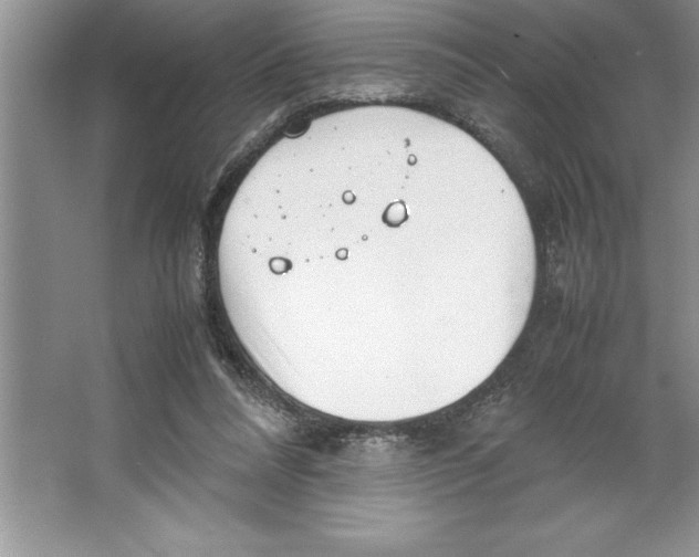 X0000064750304200603031740