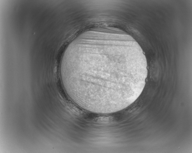 X0000064750314200603031740