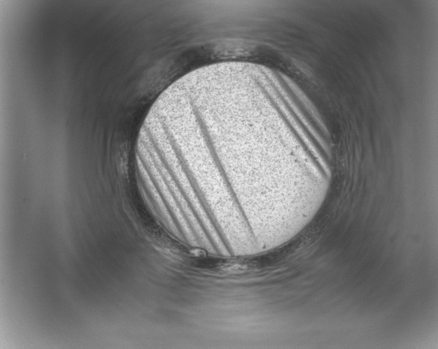 X0000064750315200603031740