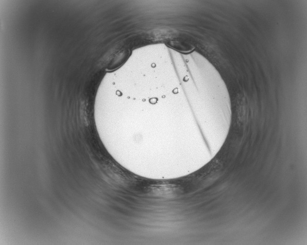 X0000064750316200603031740